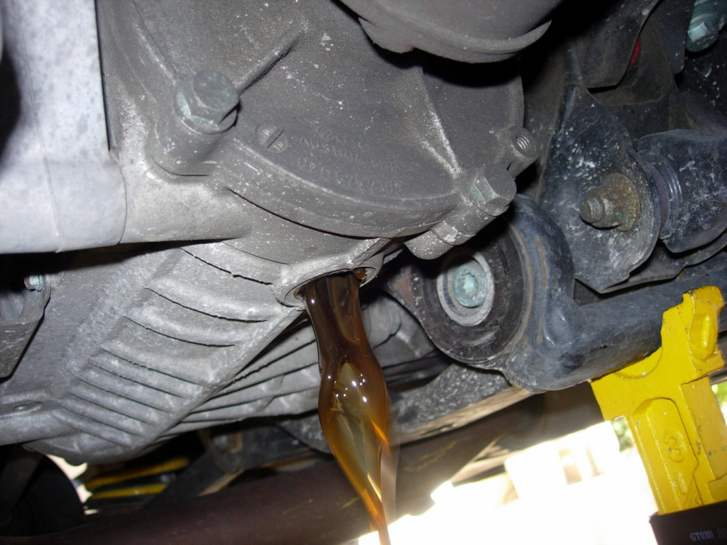 Rear Differential Fluid Change