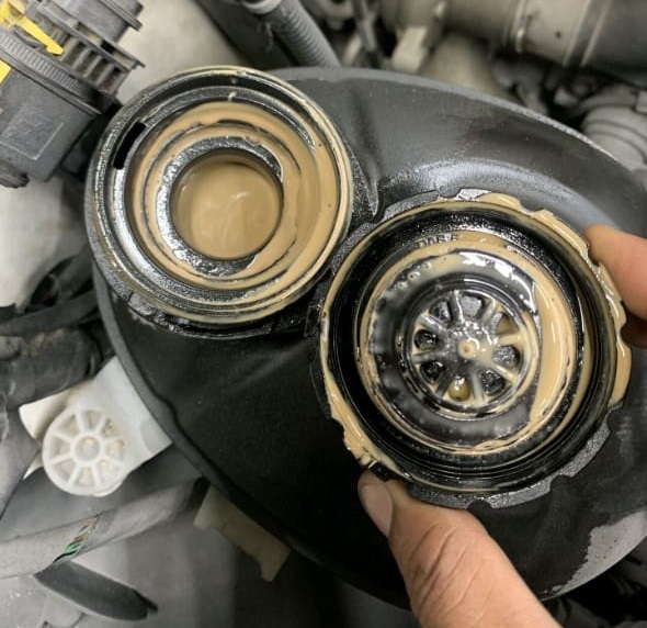 Oil in Coolant