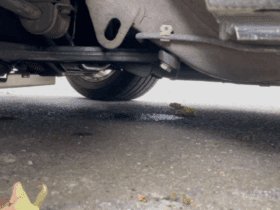 Mercedes Engine Leaks: Full Troubleshooting Guide