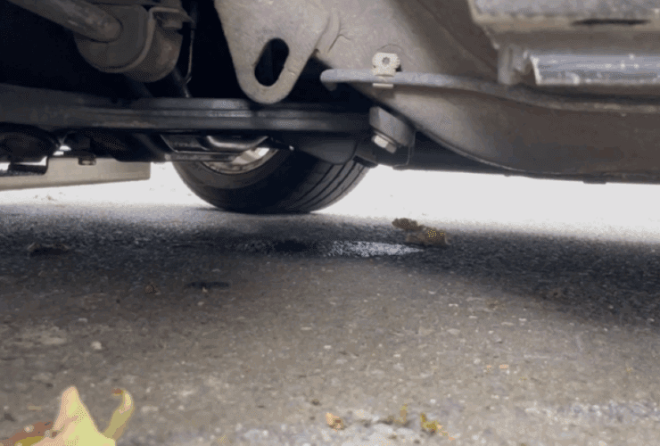 Mercedes Engine Leaks: Full Troubleshooting Guide